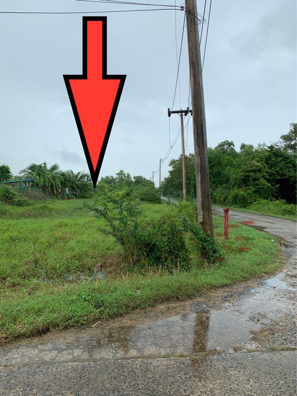 ขายที่ดินเปล่า ทำเลดี อำเภอกาญจนดิษฐ์ จังหวัดสุราษฎร์ธานี