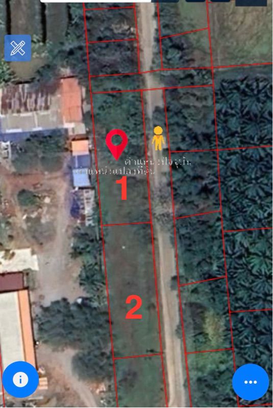 ขายที่ดินเปล่า ทำเลดี อำเภอกาญจนดิษฐ์ จังหวัดสุราษฎร์ธานี