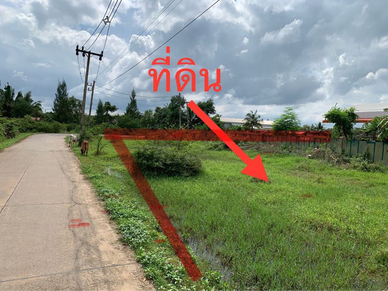 ขายที่ดินเปล่า ทำเลดี อำเภอกาญจนดิษฐ์ จังหวัดสุราษฎร์ธานี
