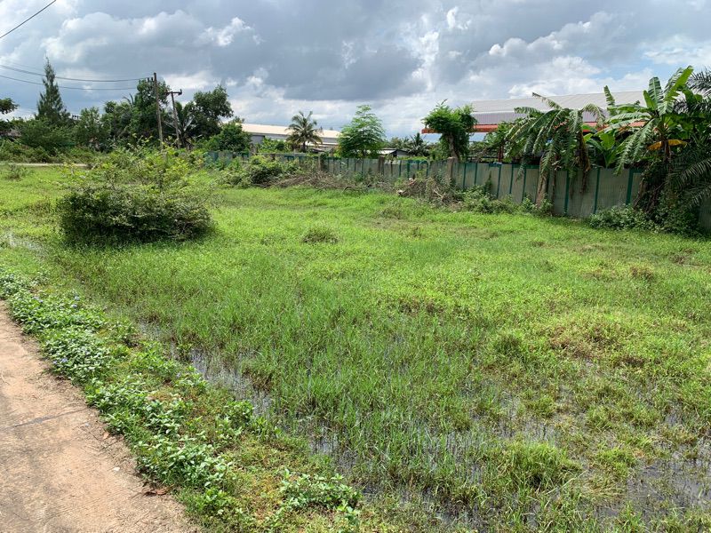 ขายที่ดินเปล่า ทำเลดี อำเภอกาญจนดิษฐ์ จังหวัดสุราษฎร์ธานี