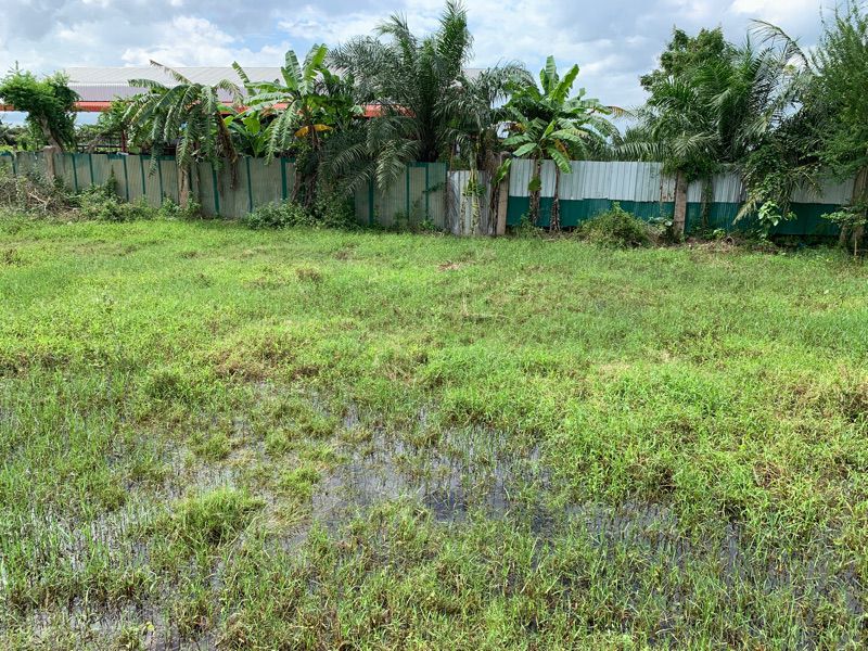 ขายที่ดินเปล่า ทำเลดี อำเภอกาญจนดิษฐ์ จังหวัดสุราษฎร์ธานี