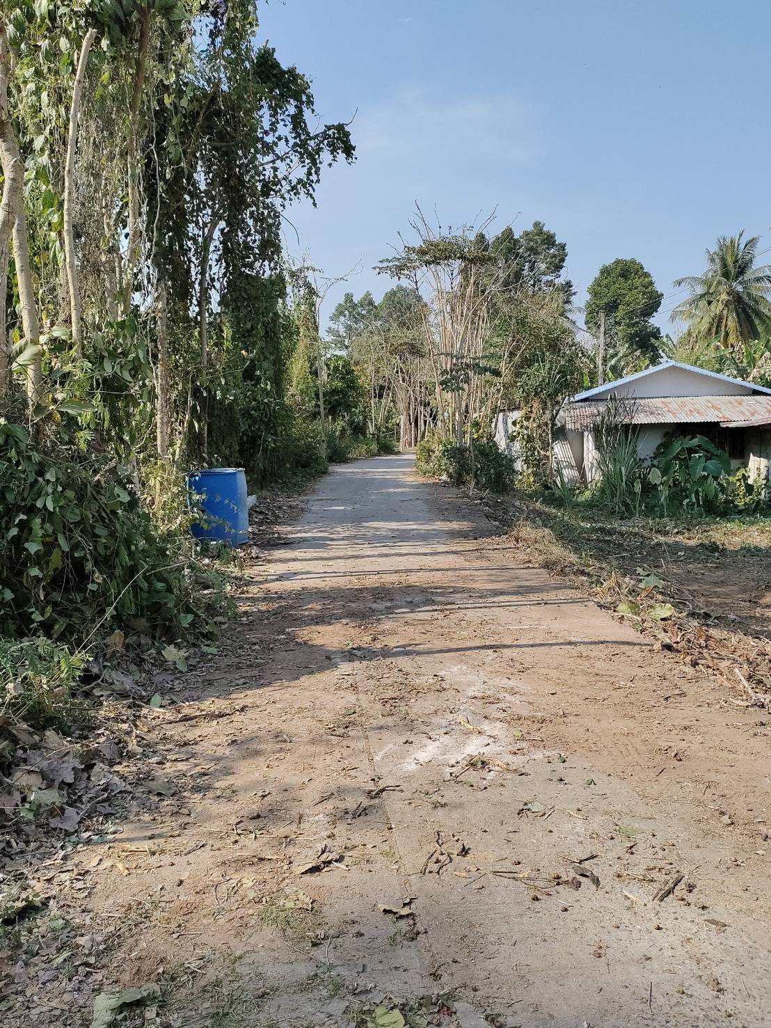 ขายที่ดินเปล่า ทำเลดี หน้าหลังติดคลองน้ำ  อำเภอเมืองพิจิตร จังหวัดพิจิตร 