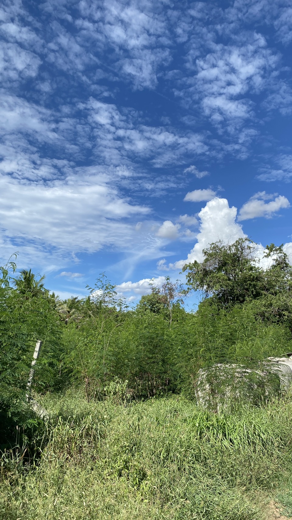 ขายที่ดินเปล่า ทำเลดี  ต.หนองกุ่ม อ.บ่อพลอย จ.กาญจนบุรี