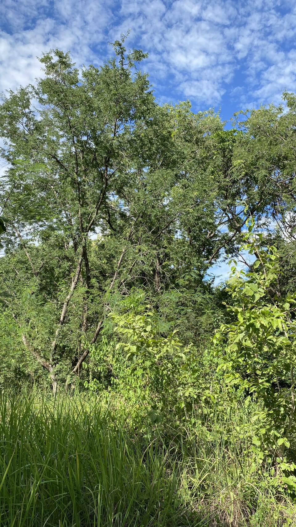 ขายที่ดินเปล่า ทำเลดี  ต.หนองกุ่ม อ.บ่อพลอย จ.กาญจนบุรี