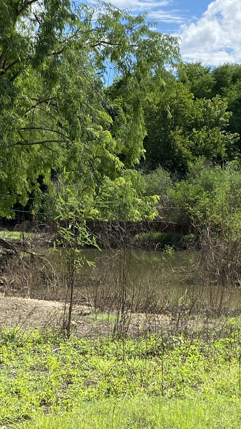 ขายที่ดินเปล่า ทำเลดี  ต.หนองกุ่ม อ.บ่อพลอย จ.กาญจนบุรี