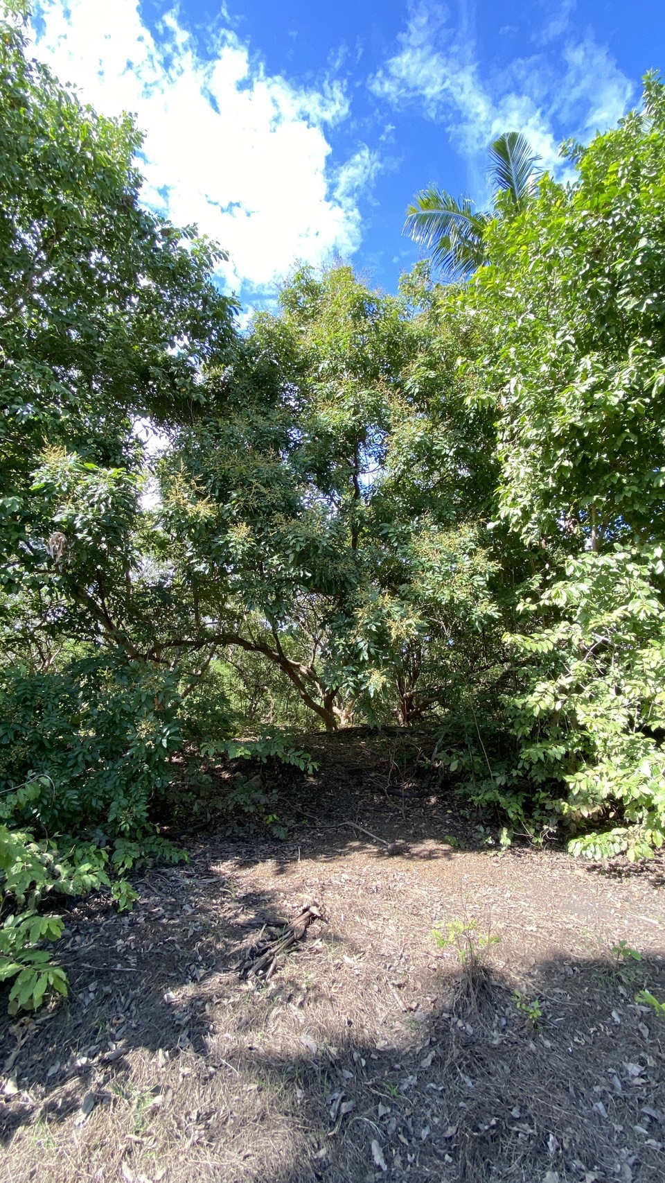 ขายที่ดินเปล่า ทำเลดี  ต.หนองกุ่ม อ.บ่อพลอย จ.กาญจนบุรี