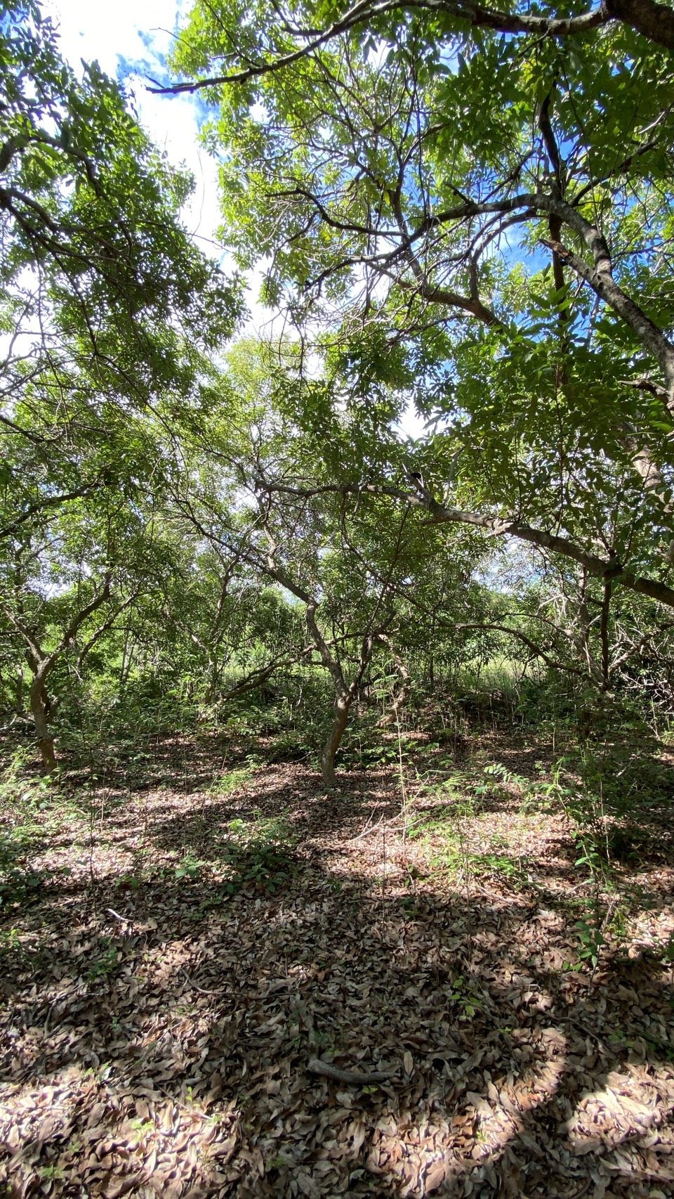 ขายที่ดินเปล่า ทำเลดี  ต.หนองกุ่ม อ.บ่อพลอย จ.กาญจนบุรี