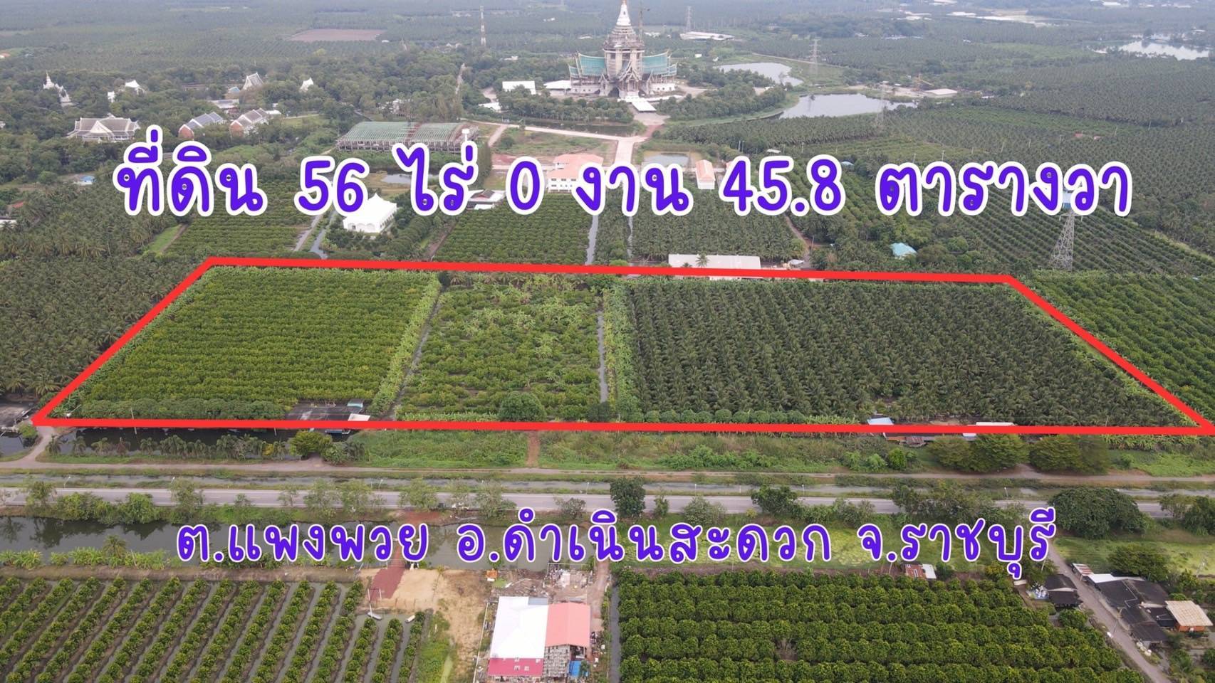 ขายที่ดินสวน ทำเลดีมาก ติดหลังวัดหลวงพ่อสด –ด้านหน้าติดถนนคลองชลประทาน อำเภอดำเนินสะดวก จังหวัดราชบุรี