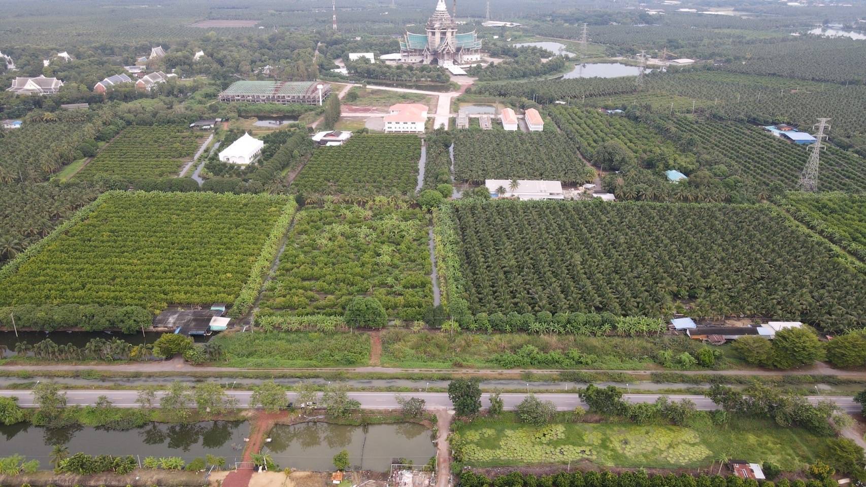 ขายที่ดินสวน ทำเลดีมาก ติดหลังวัดหลวงพ่อสด –ด้านหน้าติดถนนคลองชลประทาน อำเภอดำเนินสะดวก จังหวัดราชบุรี