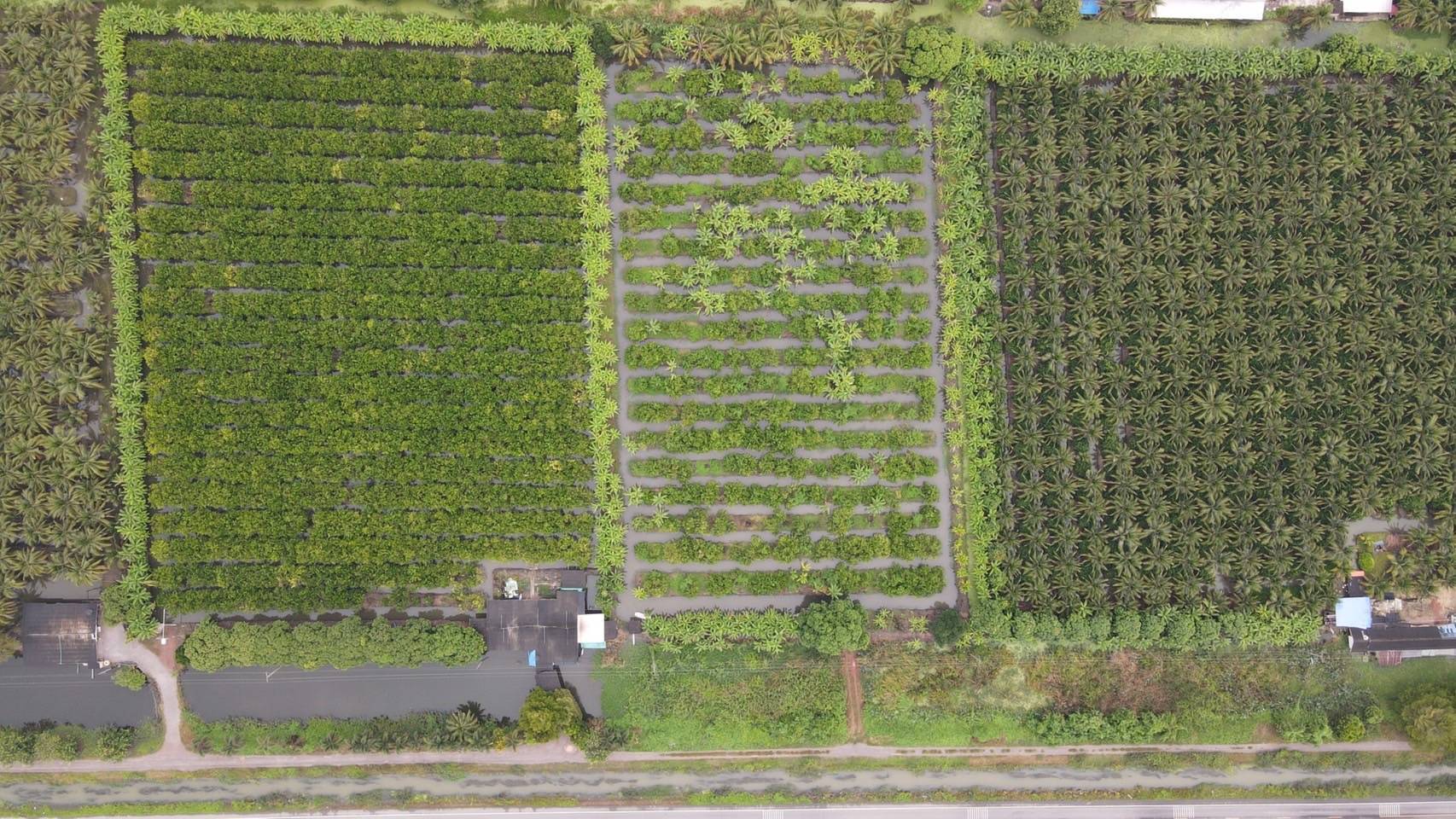 ขายที่ดินสวน ทำเลดีมาก ติดหลังวัดหลวงพ่อสด –ด้านหน้าติดถนนคลองชลประทาน อำเภอดำเนินสะดวก จังหวัดราชบุรี