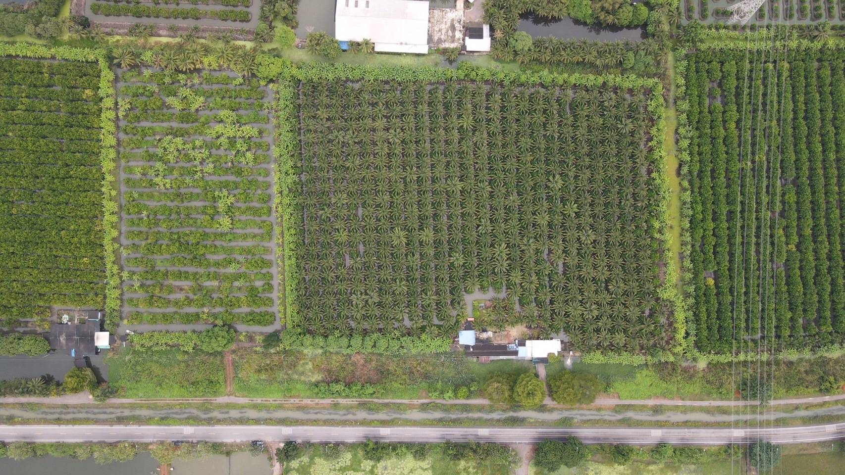 ขายที่ดินสวน ทำเลดีมาก ติดหลังวัดหลวงพ่อสด –ด้านหน้าติดถนนคลองชลประทาน อำเภอดำเนินสะดวก จังหวัดราชบุรี