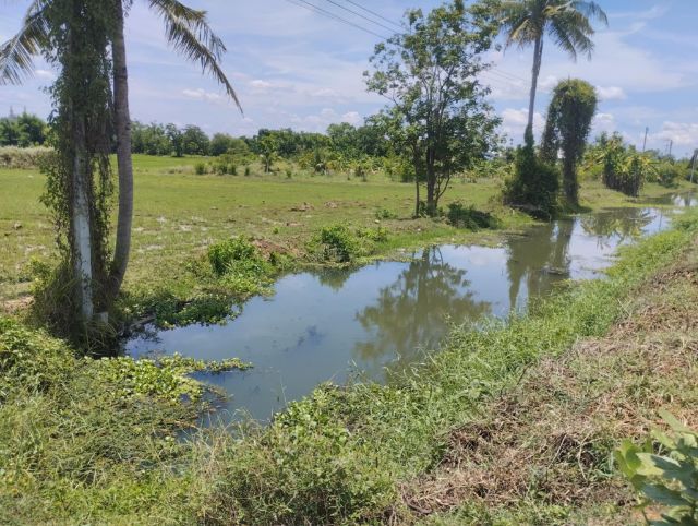 ขายที่ดิน ทำเลดี ติดถนน  ต.เกาะพลับพลา อ.เมือง  จ.ราชบุรี