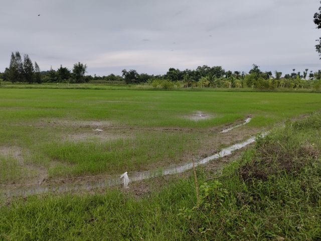 ขายที่ดิน ทำเลดี ติดถนน  ต.เกาะพลับพลา อ.เมือง  จ.ราชบุรี