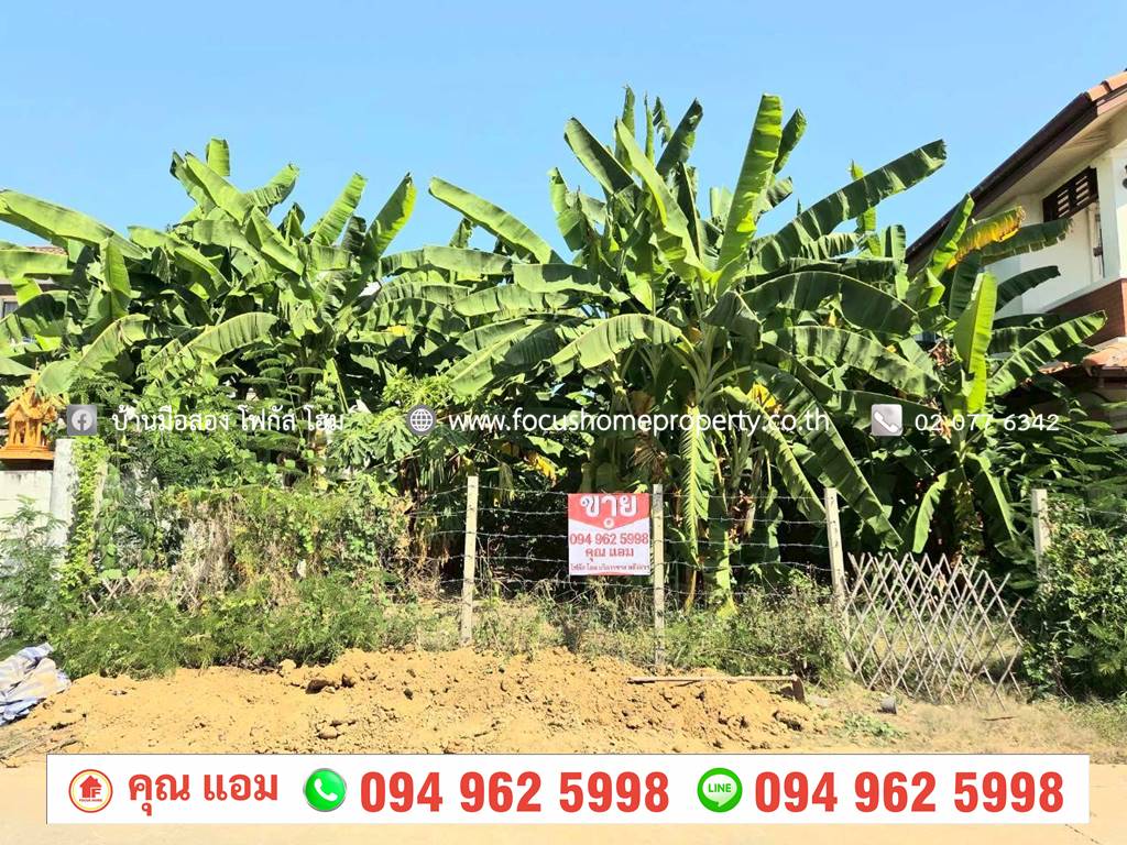 ขาย ที่ดิน 51.5 ตร.วา ซ.กำแพงเพชร 6 หลักสี่