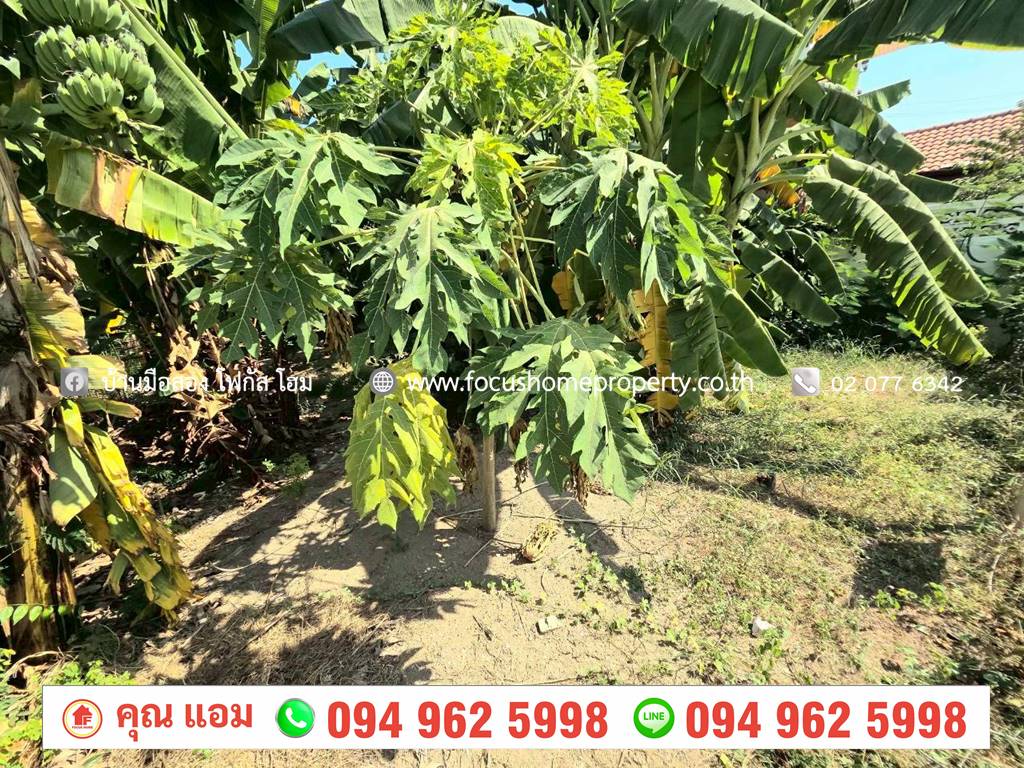 ขาย ที่ดิน 51.5 ตร.วา ซ.กำแพงเพชร 6 หลักสี่