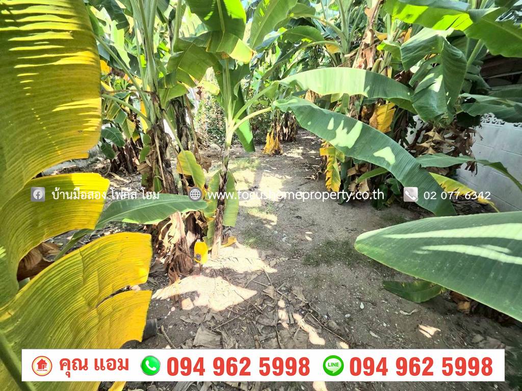 ขาย ที่ดิน 51.5 ตร.วา ซ.กำแพงเพชร 6 หลักสี่