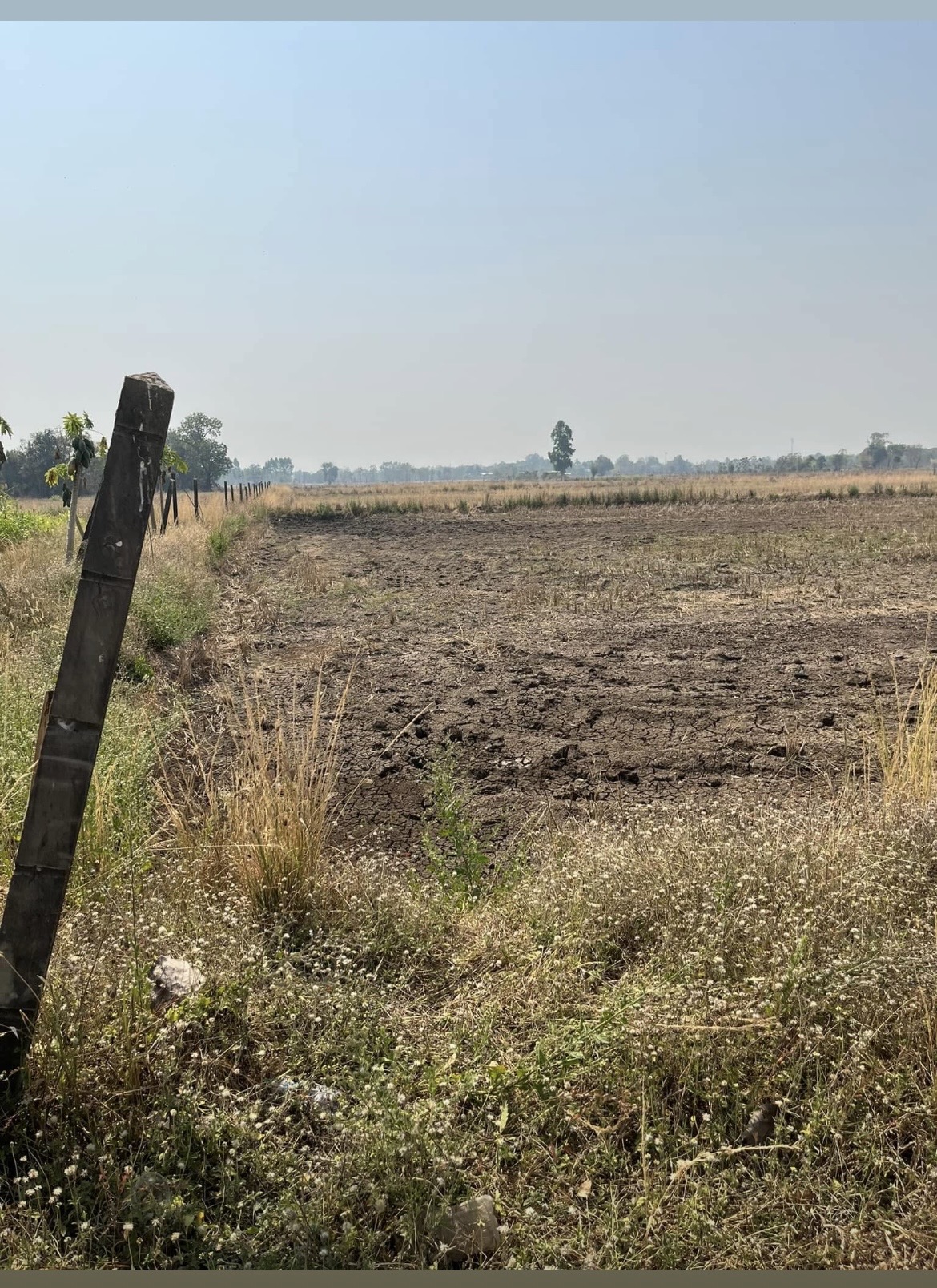 ขายที่ดิน 15 ไร่ ทำเลดี ติดกองบิน 4 ตาคลี เข้า ออกสะดวก น้ำไม่ท่วม