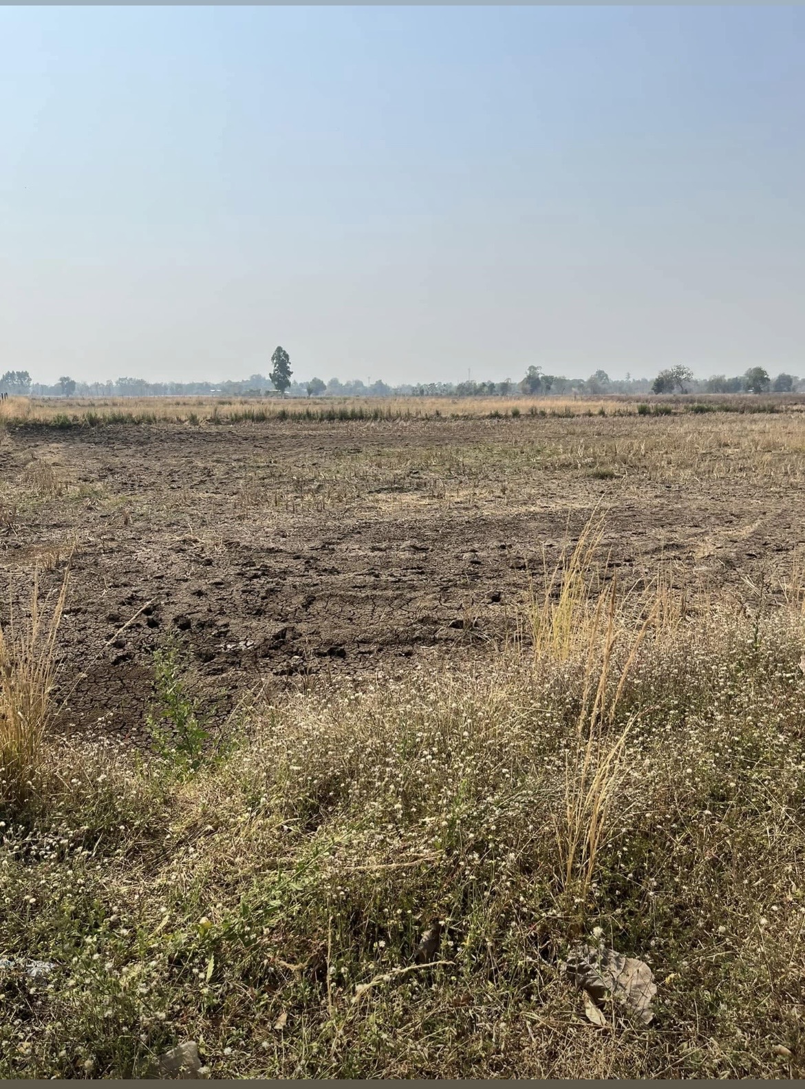 ขายที่ดิน 15 ไร่ ทำเลดี ติดกองบิน 4 ตาคลี เข้า ออกสะดวก น้ำไม่ท่วม