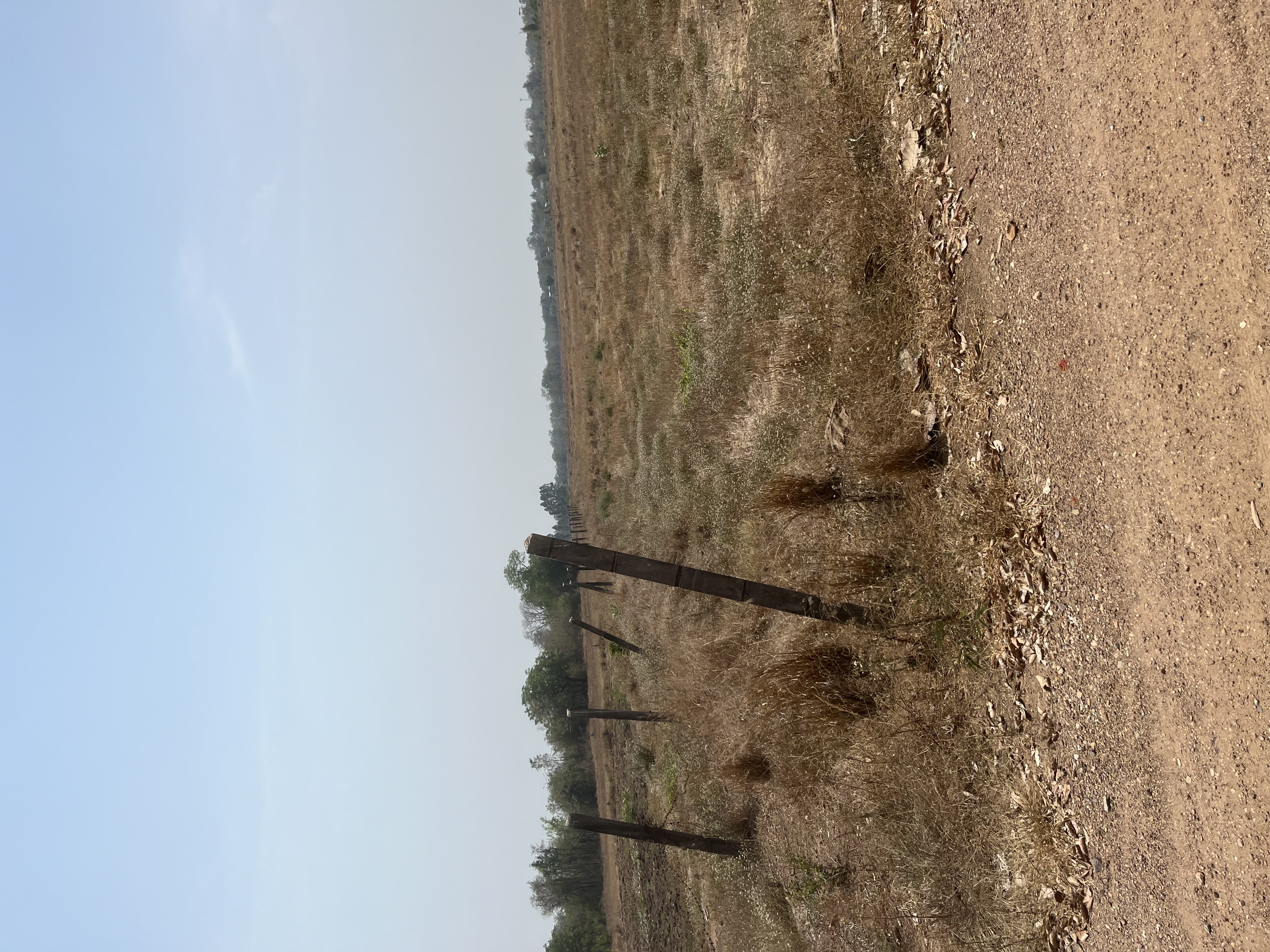 ขายที่ดิน 15 ไร่ ทำเลดี ติดกองบิน 4 ตาคลี เข้า ออกสะดวก น้ำไม่ท่วม