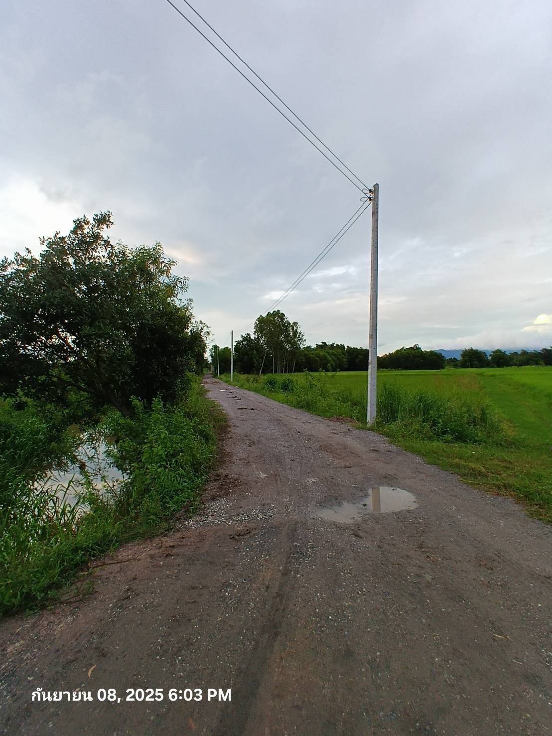 ขายที่ดิน ทำเลดี บรรยากาศดี วิวภูเขา-ทุ่งนา อ.บ้านนา จ.นครนายก