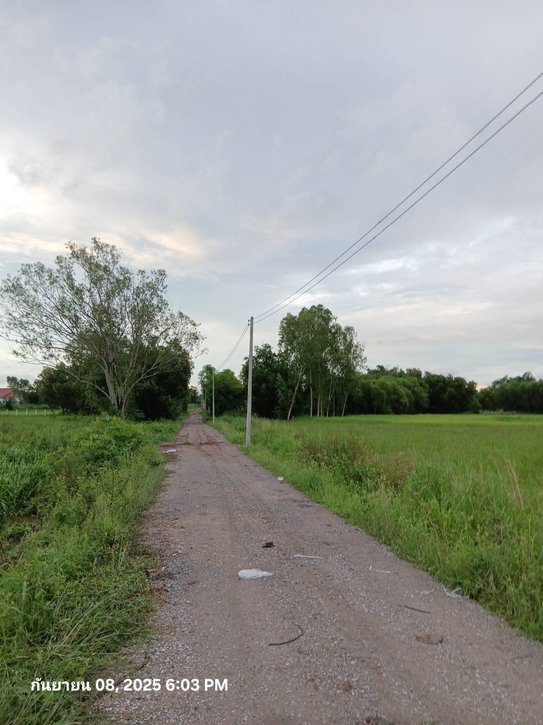 ขายที่ดิน ทำเลดี บรรยากาศดี วิวภูเขา-ทุ่งนา อ.บ้านนา จ.นครนายก