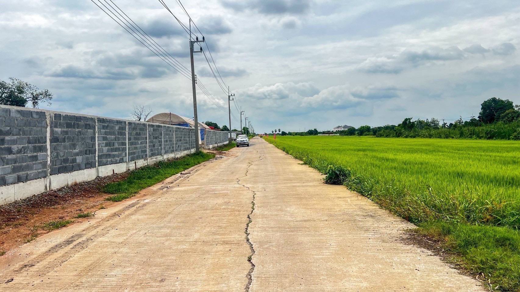 ขายที่ดินแปลงสวย ทำเลทอง คลอง 11 หนองเสือ จังหวัดปทุมธานี