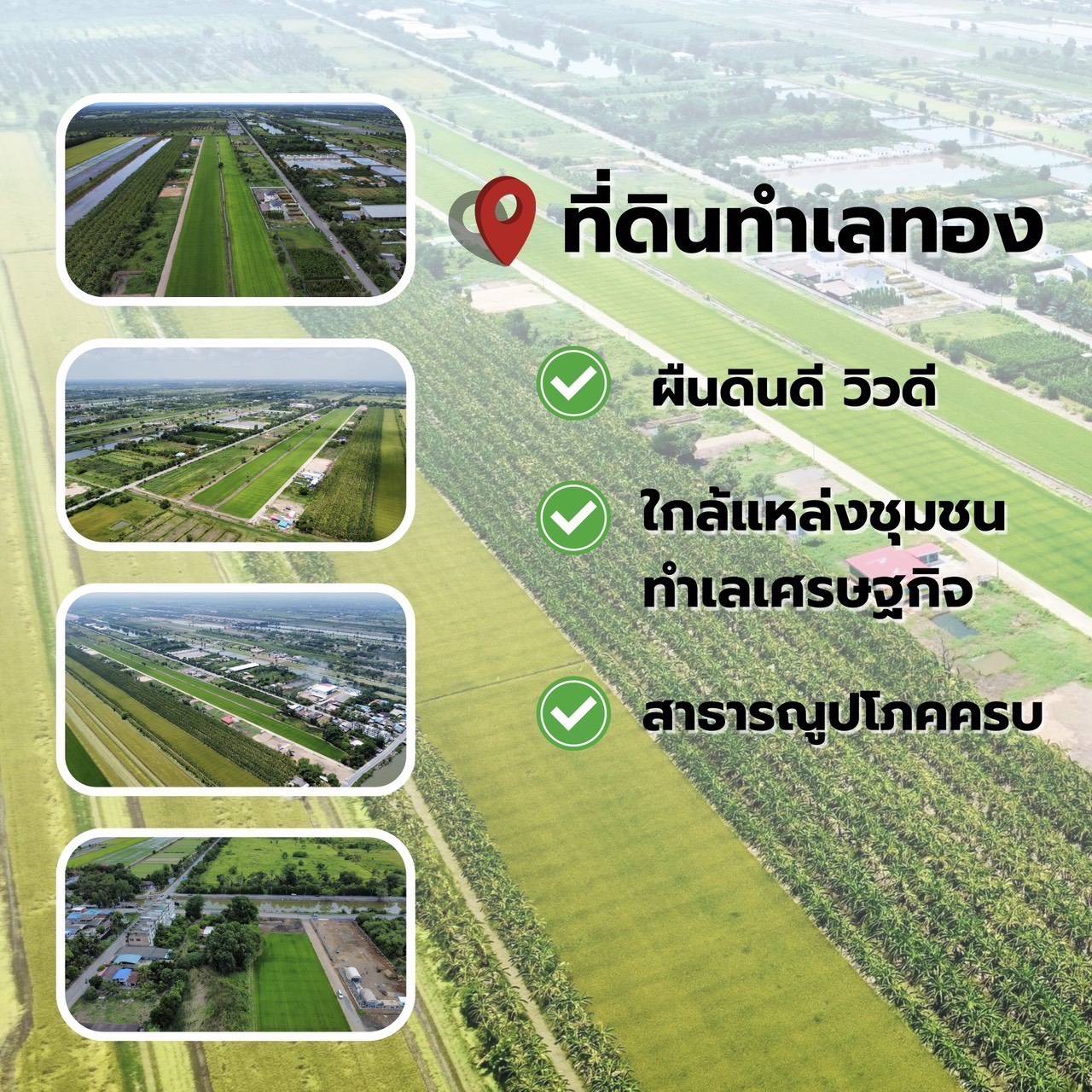 ขายที่ดินแปลงสวย ทำเลทอง คลอง 11 หนองเสือ จังหวัดปทุมธานี