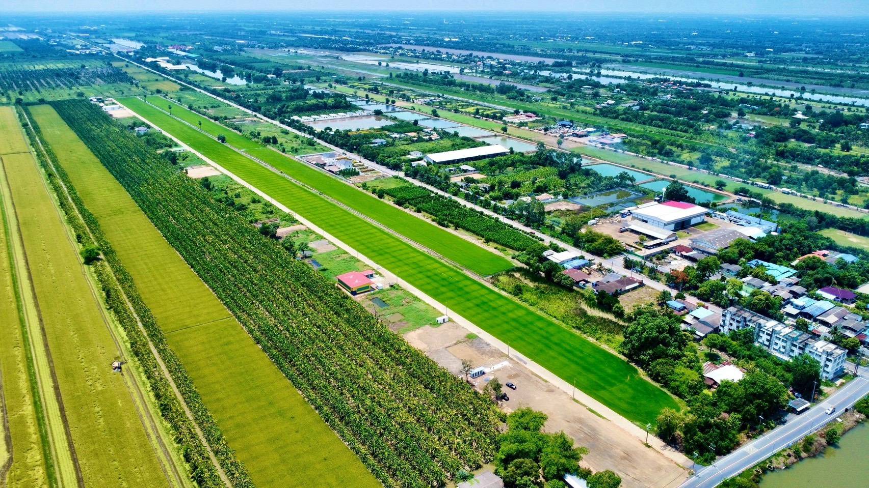 ขายที่ดินแปลงสวย ทำเลทอง คลอง 11 หนองเสือ จังหวัดปทุมธานี