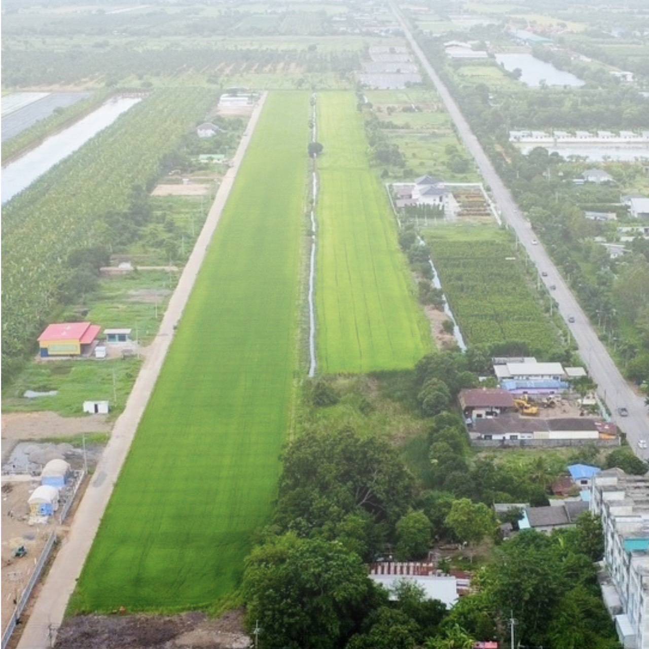 ขายที่ดินแปลงสวย ทำเลทอง คลอง 11 หนองเสือ จังหวัดปทุมธานี