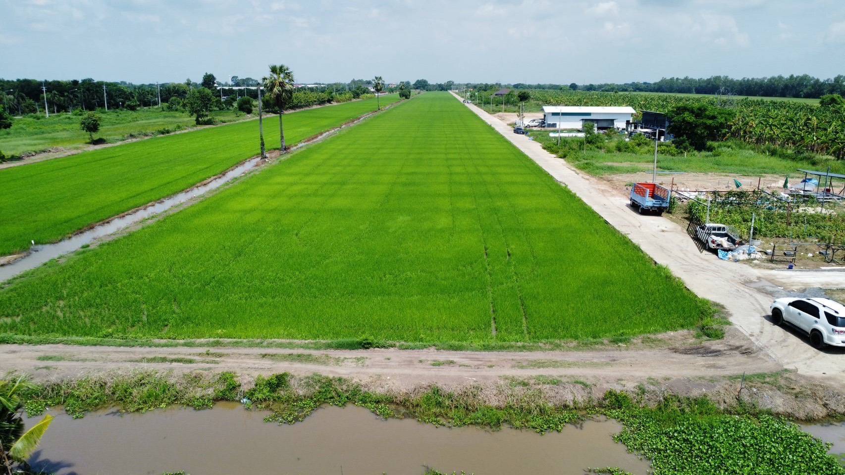 ขายที่ดินแปลงสวย ทำเลทอง คลอง 11 หนองเสือ จังหวัดปทุมธานี