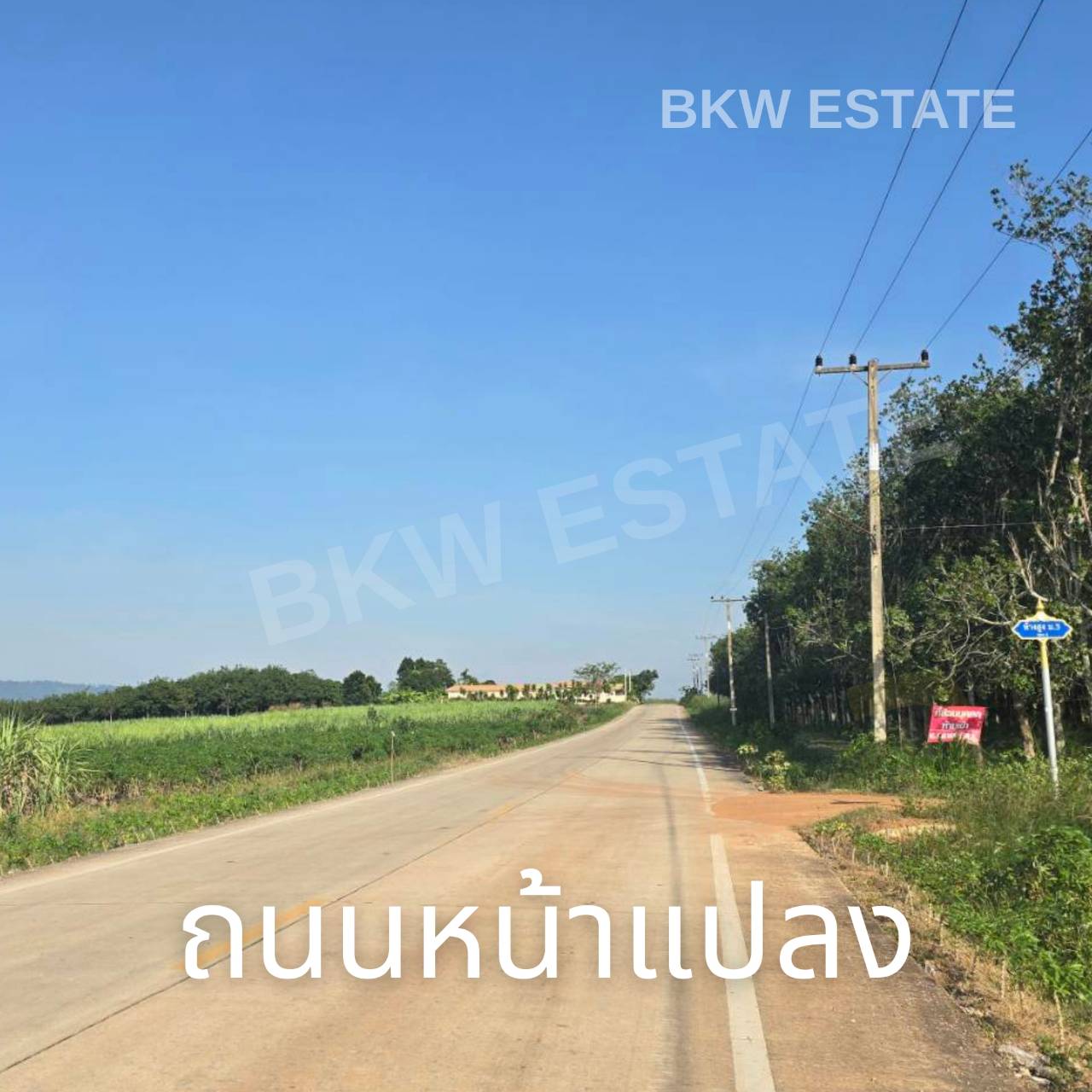 ขายที่ดินผังม่วงลาย 140 ไร่ ทำเลดี ติดนิคมโรจนะ อำเภอหนองใหญ่ จังหวัดชลบุรี