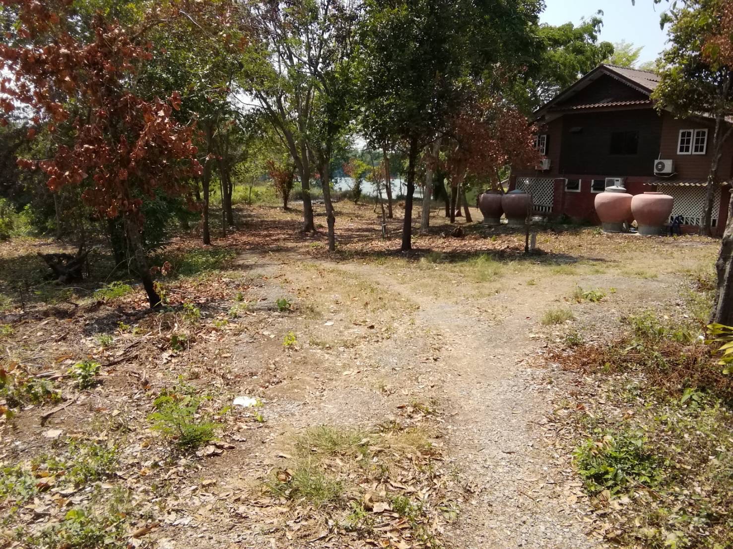 ขายที่ดินติดแม่น้ำป่าสัก 3-1-20 ไร่ พร้อมบ้าน 2 ชั้น ร้านนั่งชิลล์พร้อมดำเนินการ