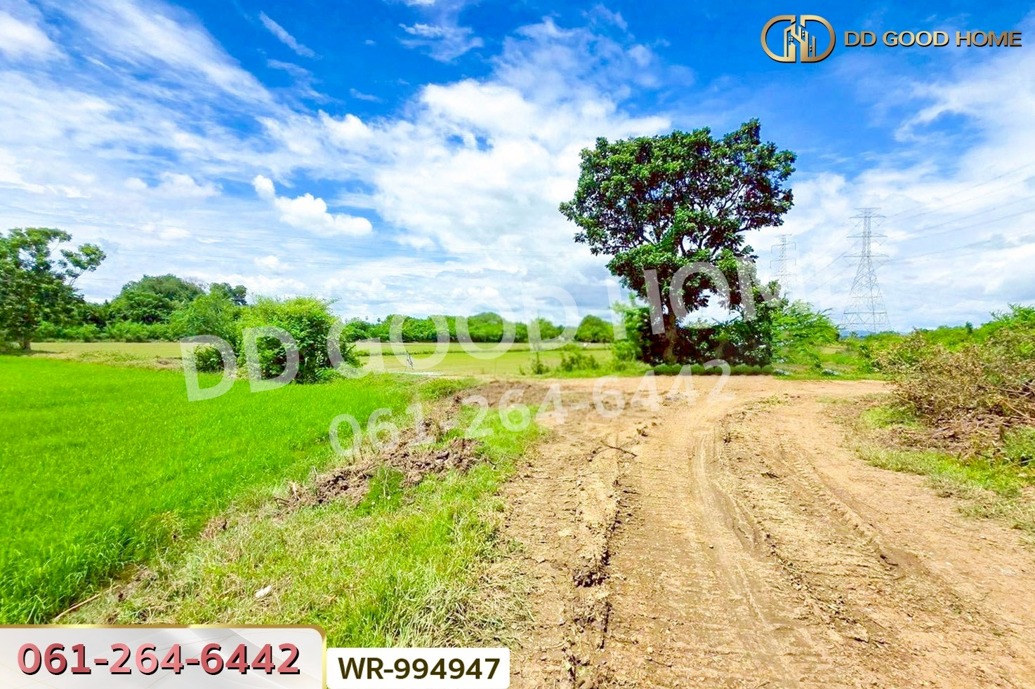WR-994947 ที่ดินท่ามะกา 10 ไร่ 30 ตร.ว. กาญจนบุรี ใกล้สำนักงานขนส่งจังหวัดกาญจนบุรี (สาขาอำเภอท่ามะกา)