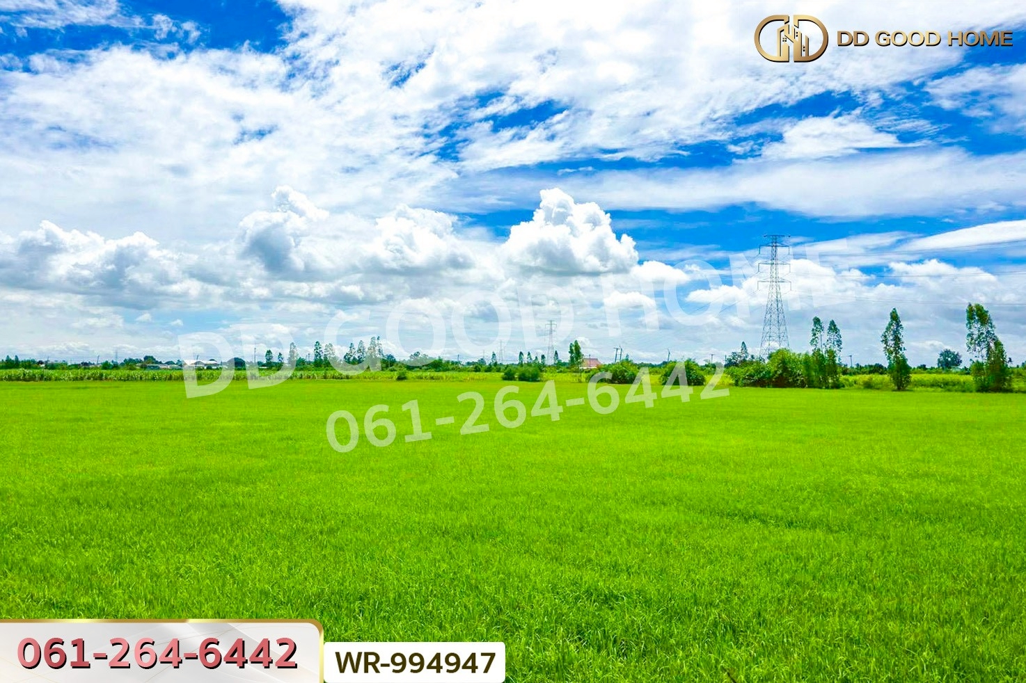 WR-994947 ที่ดินท่ามะกา 10 ไร่ 30 ตร.ว. กาญจนบุรี ใกล้สำนักงานขนส่งจังหวัดกาญจนบุรี (สาขาอำเภอท่ามะกา)