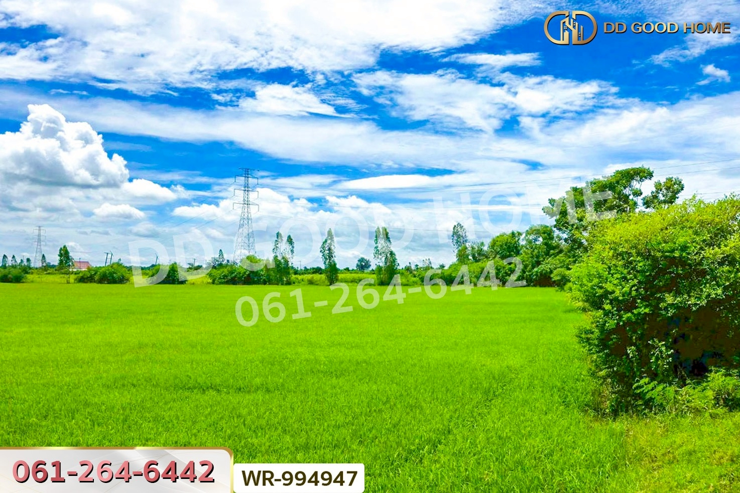 WR-994947 ที่ดินท่ามะกา 10 ไร่ 30 ตร.ว. กาญจนบุรี ใกล้สำนักงานขนส่งจังหวัดกาญจนบุรี (สาขาอำเภอท่ามะกา)