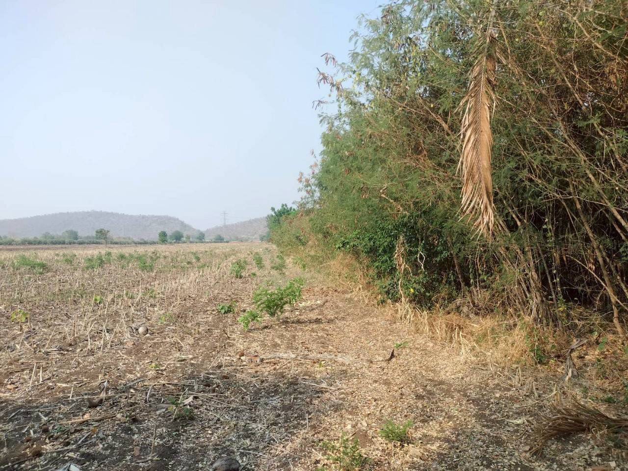 ขายที่ดินสวย ทำเลทอง ติด 4 เลน ตากฟ้า นครสวรรค์