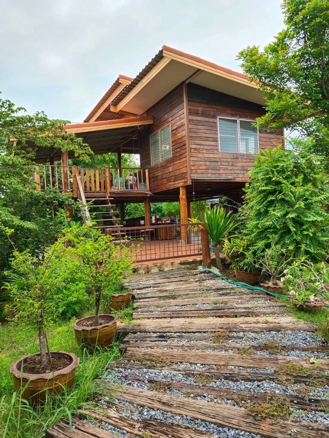 ขายบ้านสวน ทำเลดี 3 ไร่ 1 งาน จังหวัดอุดรธานี