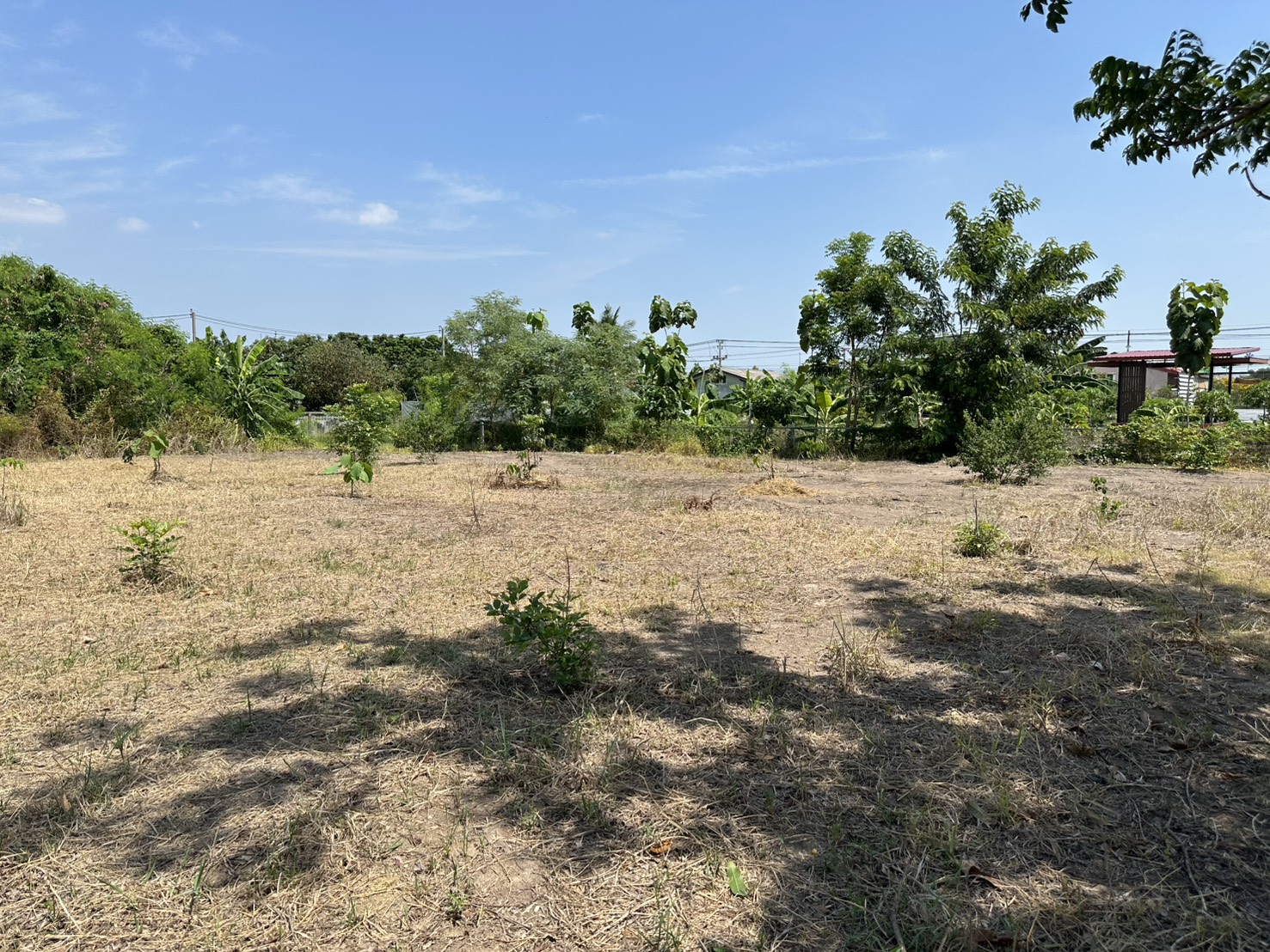 ขายที่ดิน 1 ไร่ 3 งาน ถมแล้ว ที่สวย บรรยากาศดี ร่มรื่น เงียบสงบ  ปลอดภัย ใกล้แหล่งท่องเที่ยว ใกล้ชุมชน OTOP 