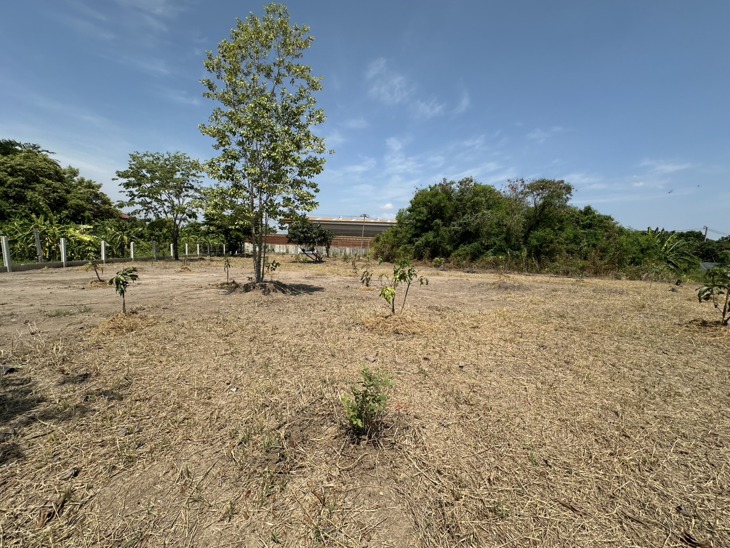 ขายที่ดิน 1 ไร่ 3 งาน ถมแล้ว ที่สวย บรรยากาศดี ร่มรื่น เงียบสงบ  ปลอดภัย ใกล้แหล่งท่องเที่ยว ใกล้ชุมชน OTOP 