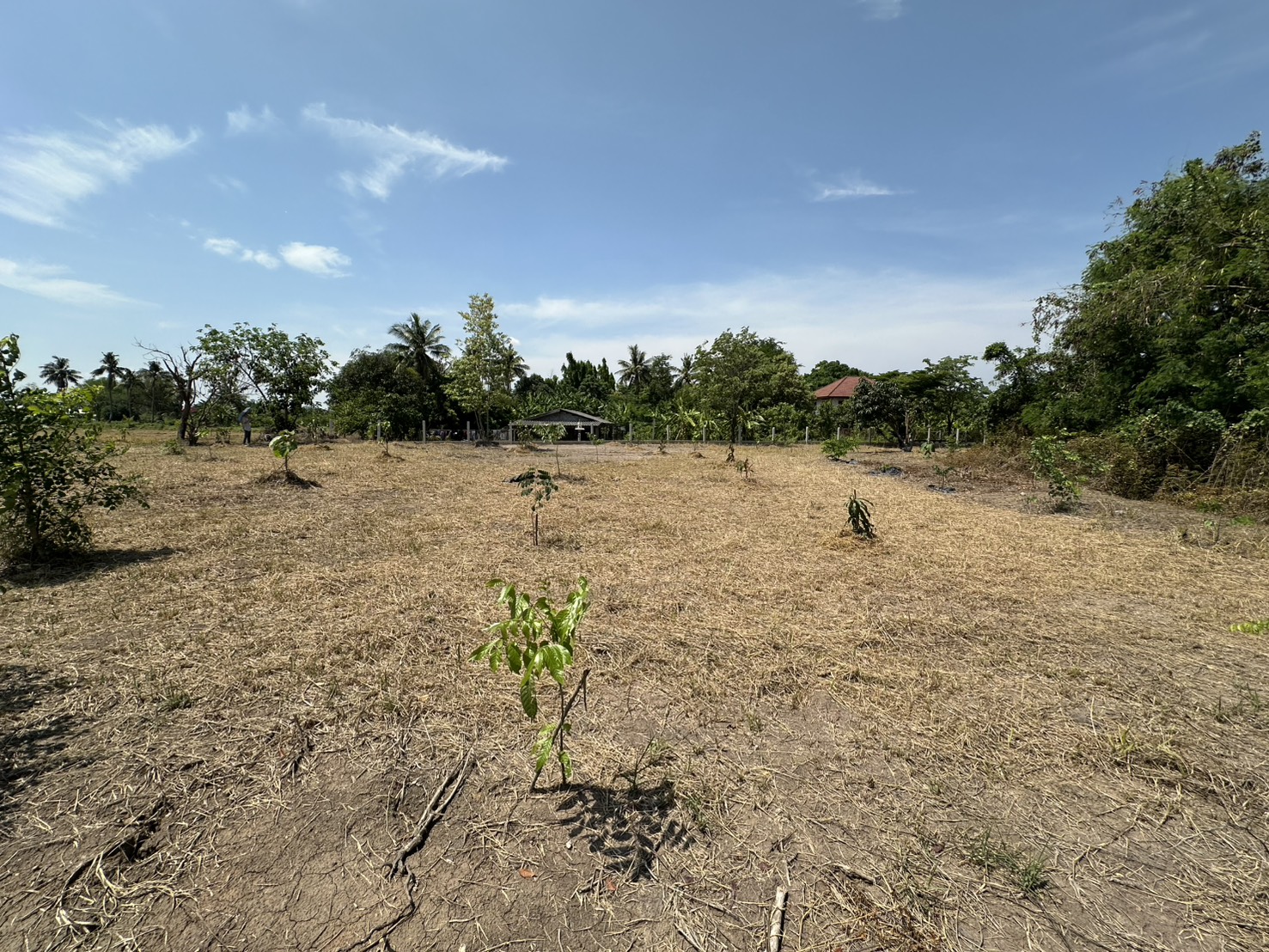 ขายที่ดิน 1 ไร่ 3 งาน ถมแล้ว ที่สวย บรรยากาศดี ร่มรื่น เงียบสงบ  ปลอดภัย ใกล้แหล่งท่องเที่ยว ใกล้ชุมชน OTOP 