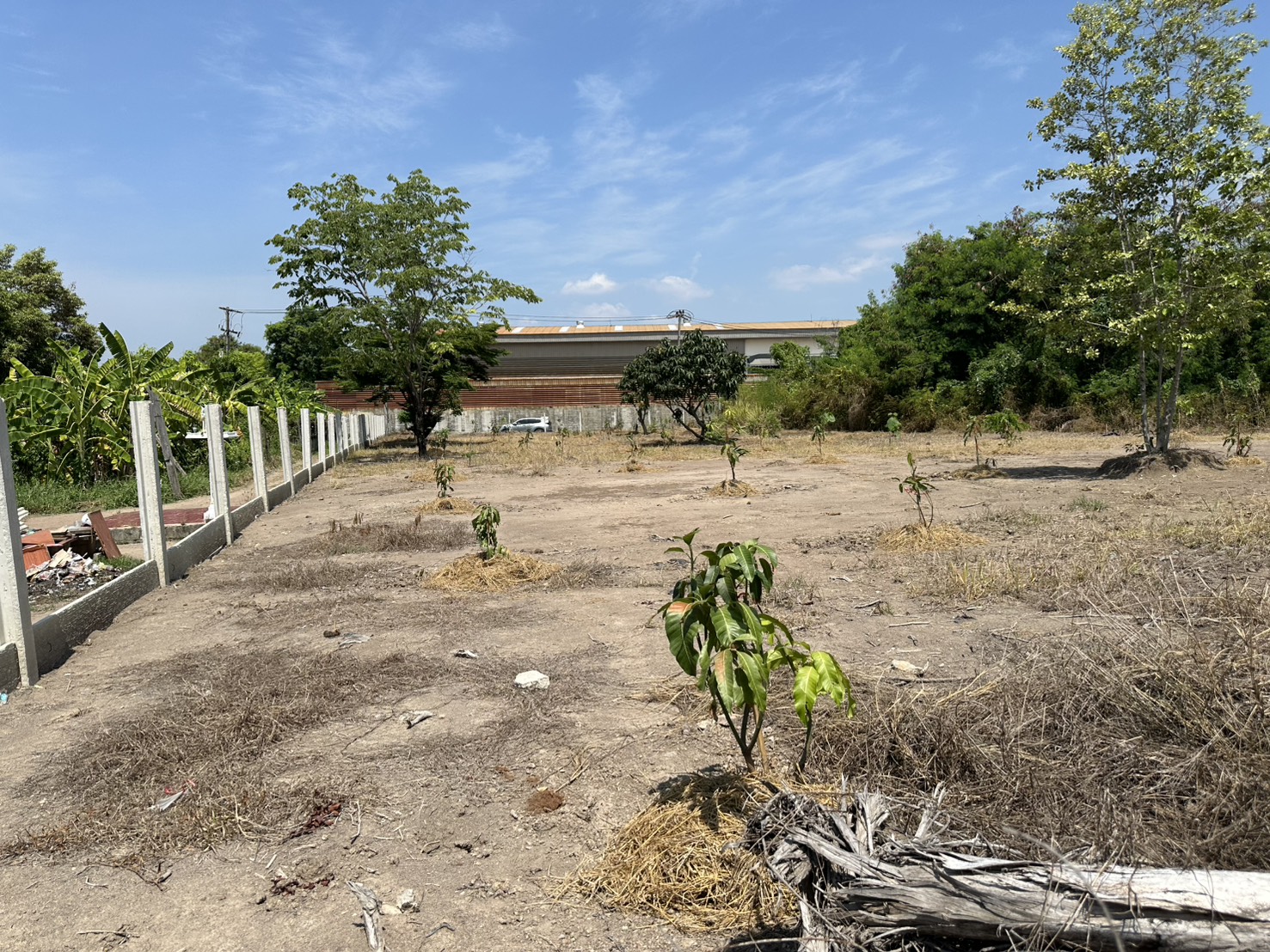 ขายที่ดิน 1 ไร่ 3 งาน ถมแล้ว ที่สวย บรรยากาศดี ร่มรื่น เงียบสงบ  ปลอดภัย ใกล้แหล่งท่องเที่ยว ใกล้ชุมชน OTOP 