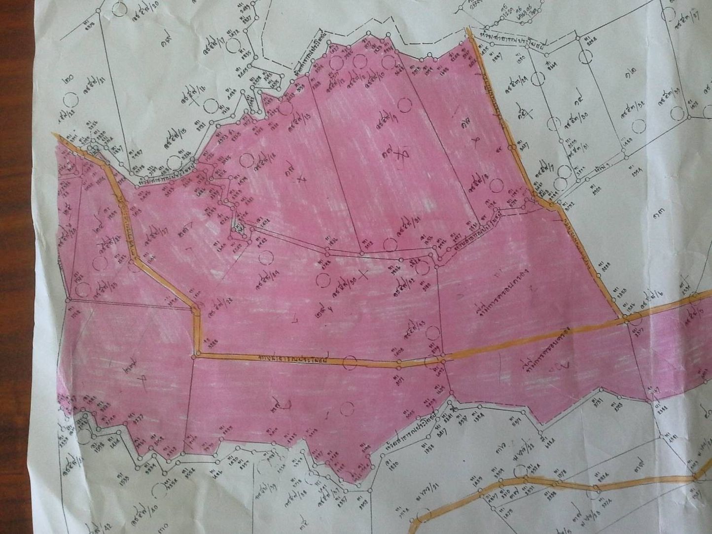 ขายที่ดิน สวนปาล์มน้ำมัน แปลงใหญ่เพื่อการลงทุน จังหวัดชุมพร – เจ้าของขายเอง