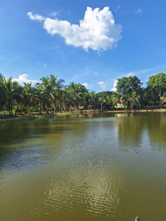 ขายที่ดินพร้อมบ้าน บรรยากาศธรรมชาติ สงบ เป็นส่วนตัว จังหวัดชัยภูมิ