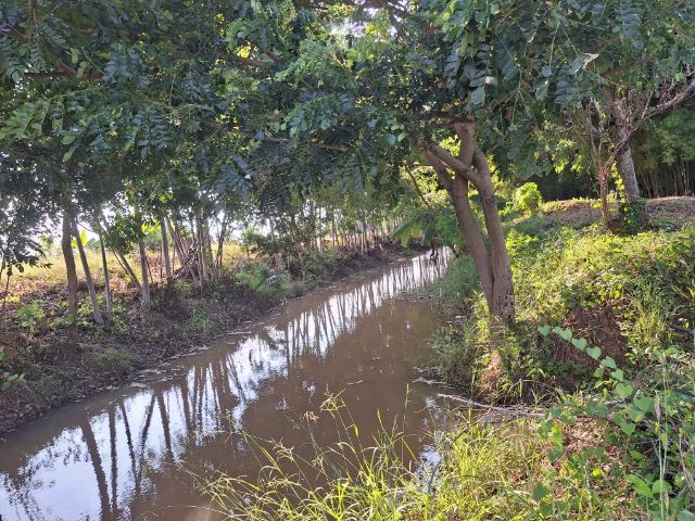 ขายที่ดินพร้อมบ้าน บรรยากาศธรรมชาติ สงบ เป็นส่วนตัว จังหวัดชัยภูมิ