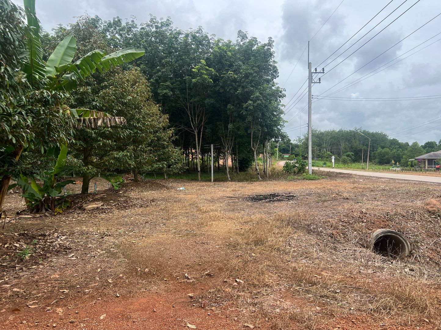 ขายสวนทุเรียน ทำเลทอง ติดถนน อำเภอวังจันทร์ จังหวัดระยอง