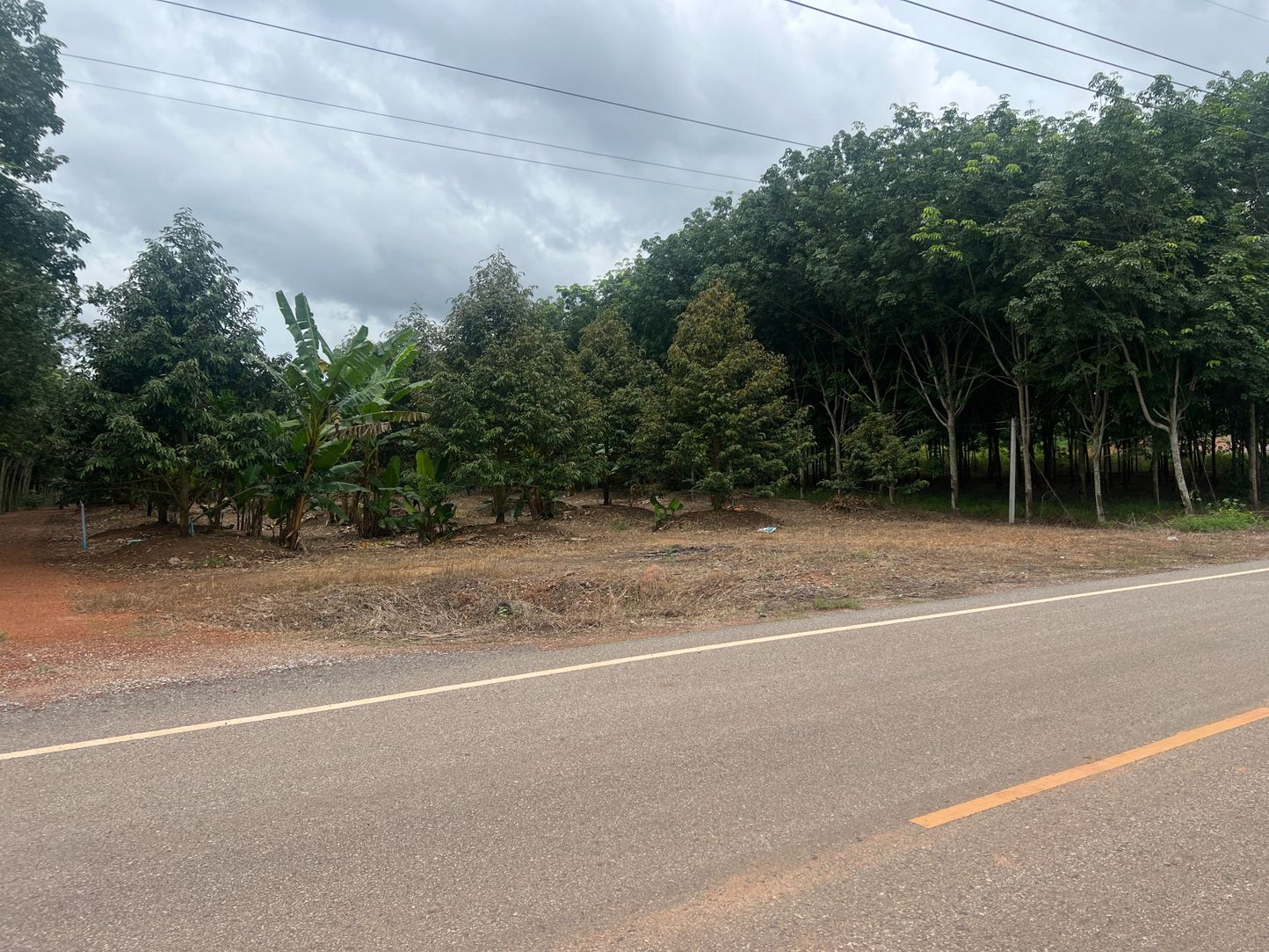 ขายสวนทุเรียน ทำเลทอง ติดถนน อำเภอวังจันทร์ จังหวัดระยอง