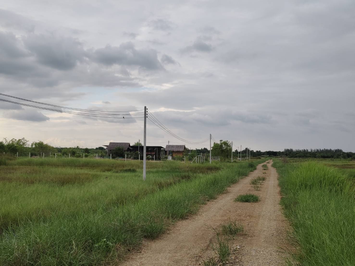 ขายที่ดินเปล่า ไร่ครึ่งไม่ถึงล้าน ทำเลดี ติดถนนเลียบคลอง14 อำเภอองครักษ์ จังหวัดนครนายก (เจ้าของขายเอง)