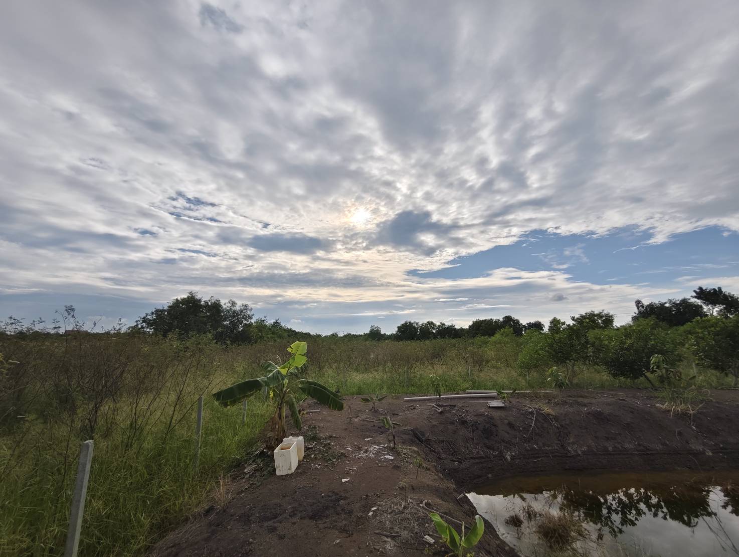 ขายที่ดินเปล่า ไร่ครึ่งไม่ถึงล้าน ทำเลดี ติดถนนเลียบคลอง14 อำเภอองครักษ์ จังหวัดนครนายก (เจ้าของขายเอง)