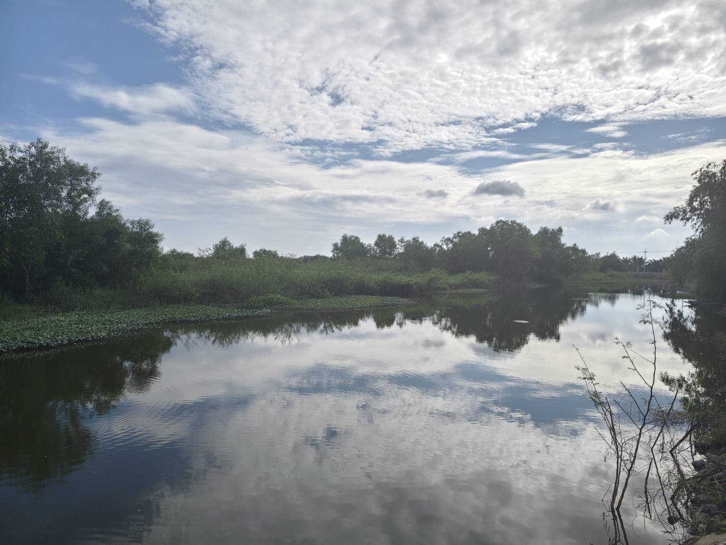 ขายที่ดินเปล่า ไร่ครึ่งไม่ถึงล้าน ทำเลดี ติดถนนเลียบคลอง14 อำเภอองครักษ์ จังหวัดนครนายก (เจ้าของขายเอง)