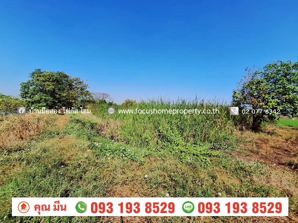 ขาย ที่ดินเปล่า ใกล้วัดเจดีย์หอย ลาดหลุมแก้ว ปทุมธานี